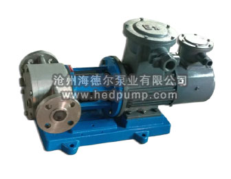 广东HXB系列星型不锈钢保温齿轮泵